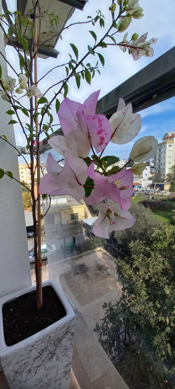 Studio LUX Apartment in Famagusta