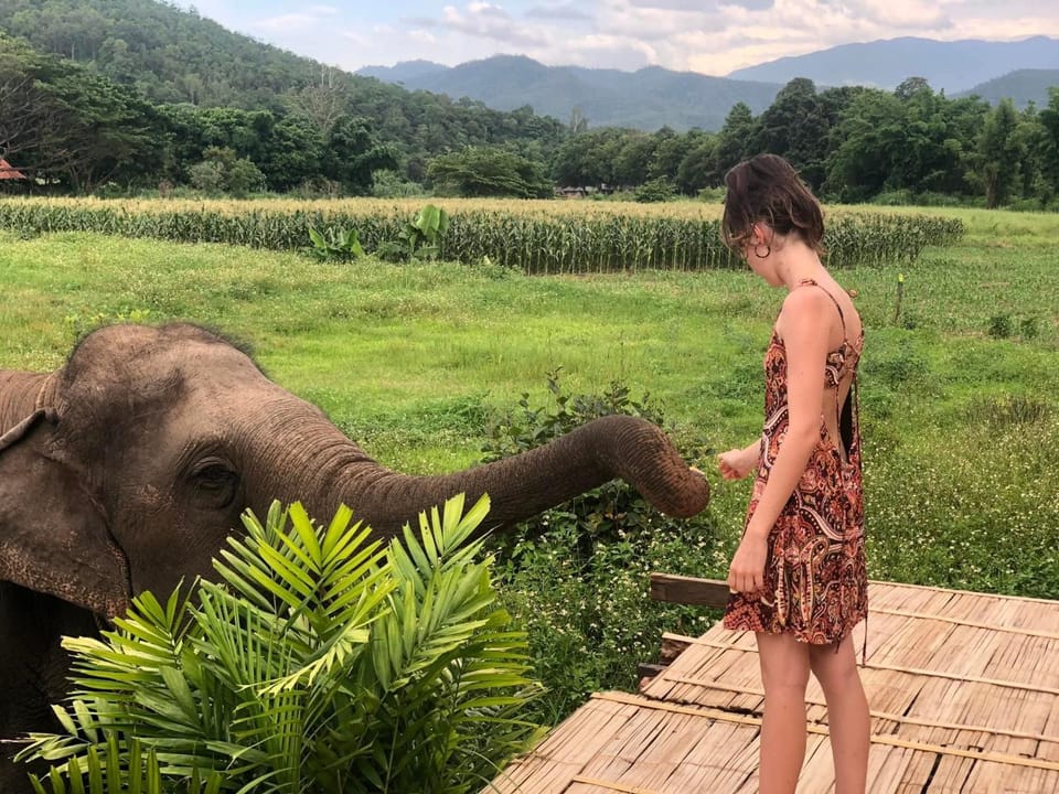 NichahomePai House in Thailand