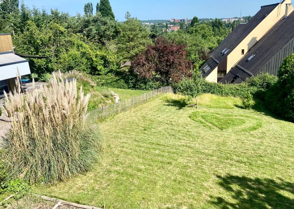 Garden view
