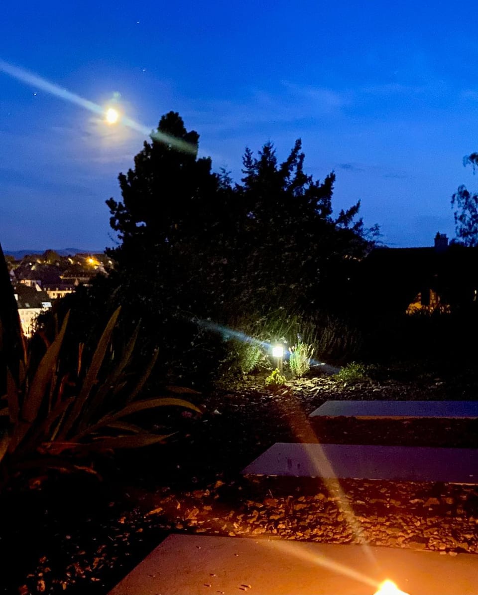 Garden view