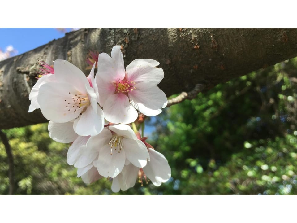 THE RETREATMENT YUGAWARA - Vacation STAY 86817v Hotel in Kanagawa Prefecture