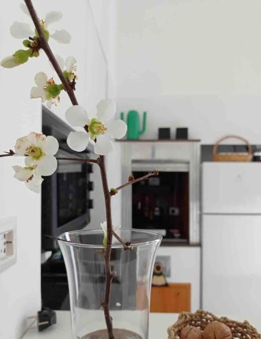 19gradini House in Apulia