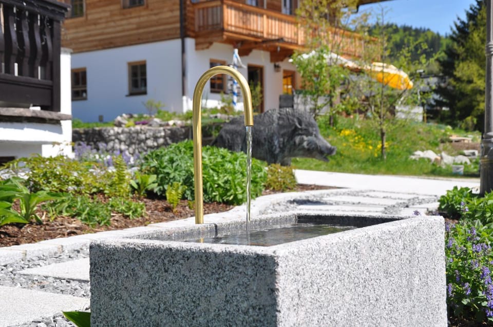 Day, Garden