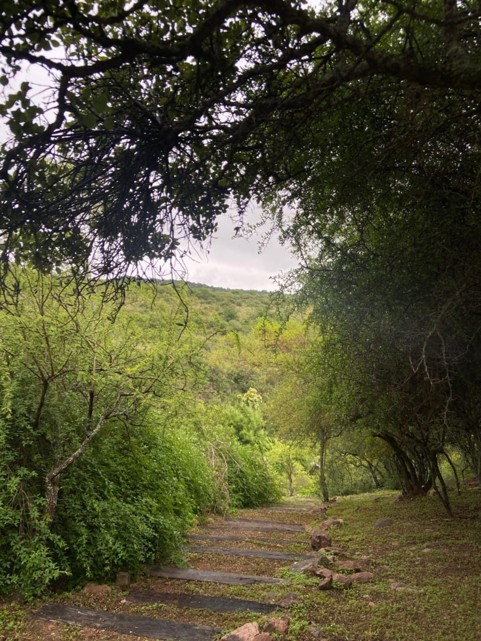 Natural landscape