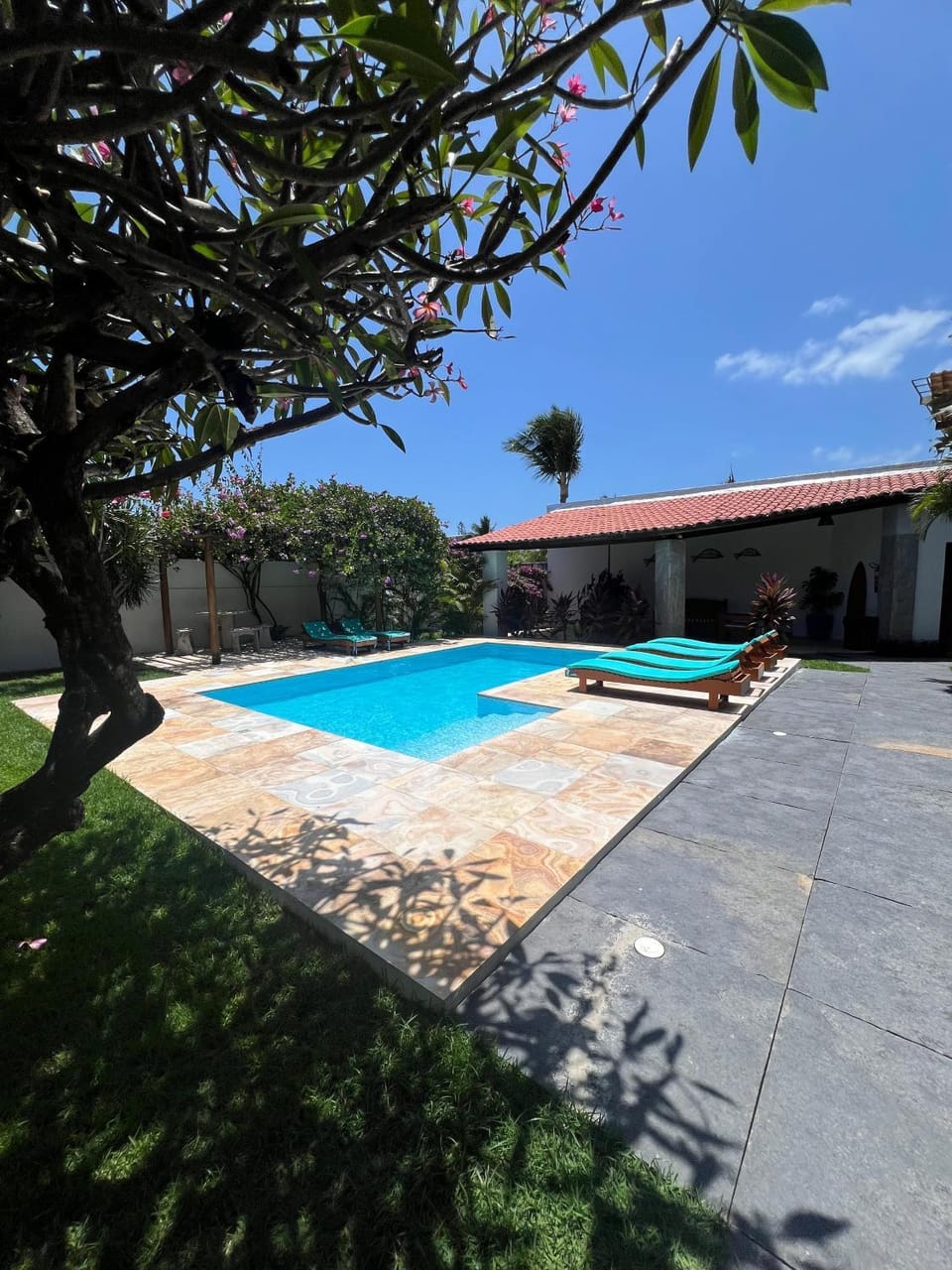 Garden, Pool view, Swimming pool, sunbed