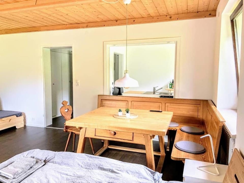 Haus Oberwössen Studio #2 Rechenberg mit Sauna Apartment in Salzburgerland