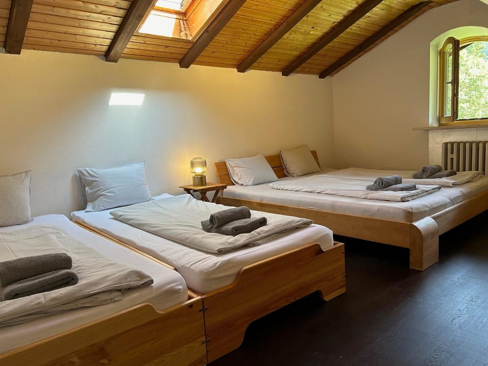 Haus Oberwössen FeWo #3 Harzblick mit Sauna Apartment in Salzburgerland