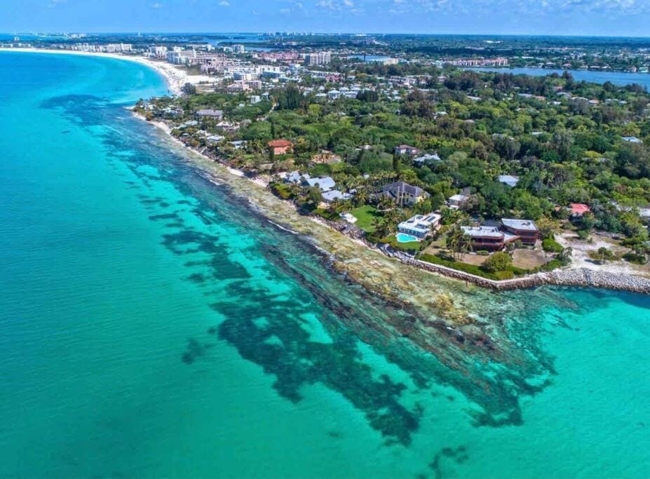 Sand Dollar Studio Pool Daily Rentals Apartment in Siesta Key