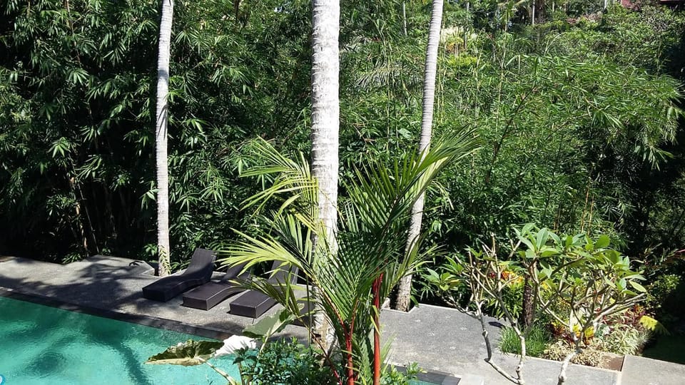 Day, Swimming pool