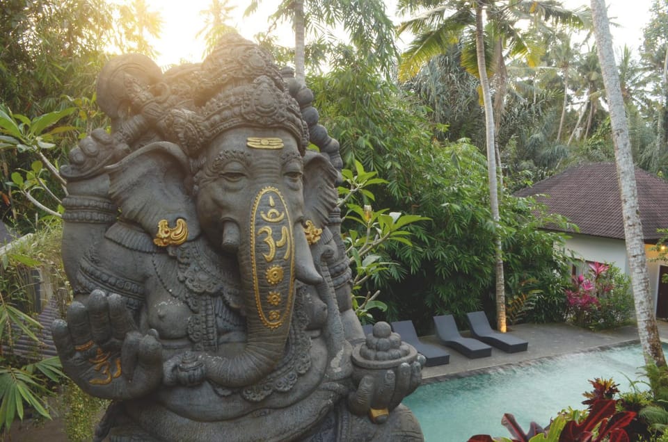 Garden, Swimming pool