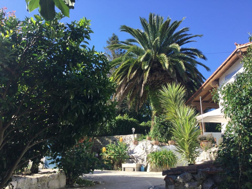 Patio, Garden view