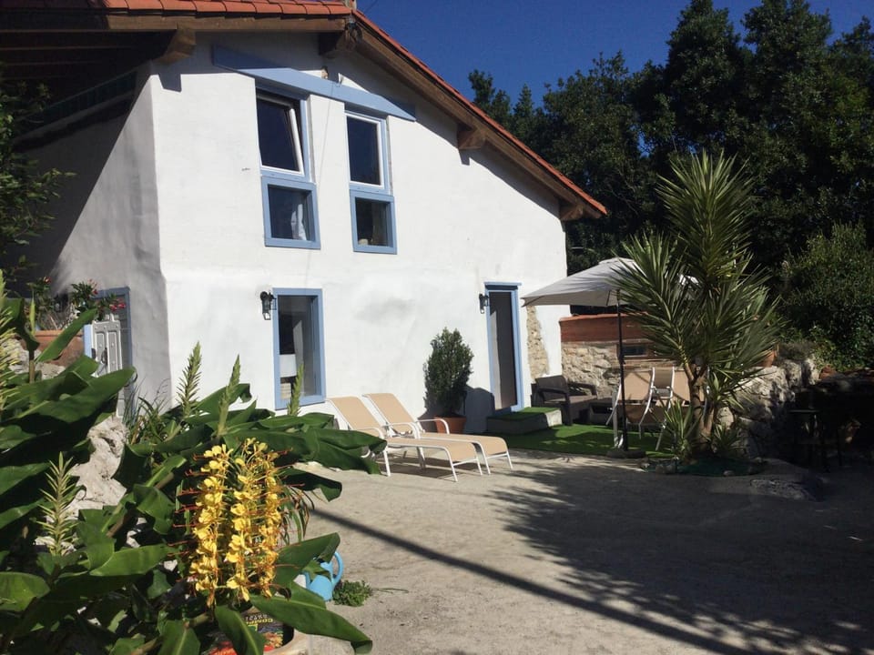 Property building, Patio, Garden