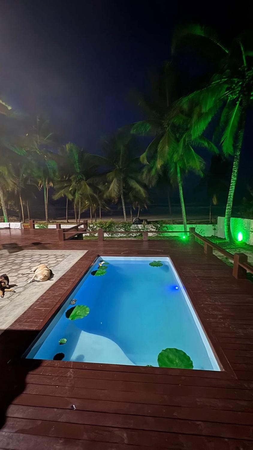 Swimming pool
