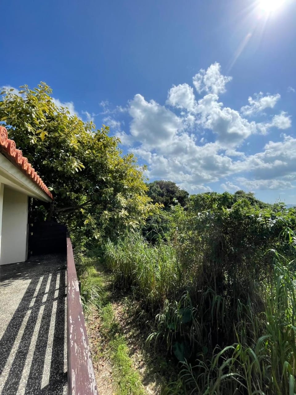 Sea view, Sea view