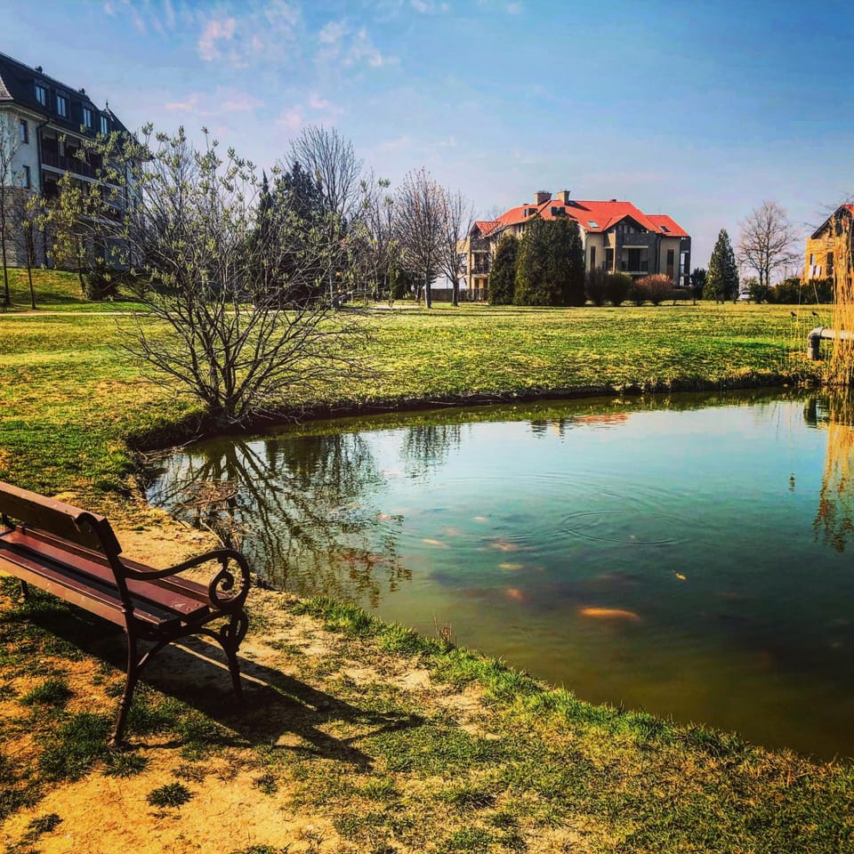 Spring, Garden, Beach