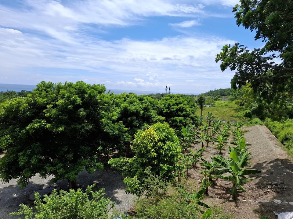 Natural landscape, Garden view