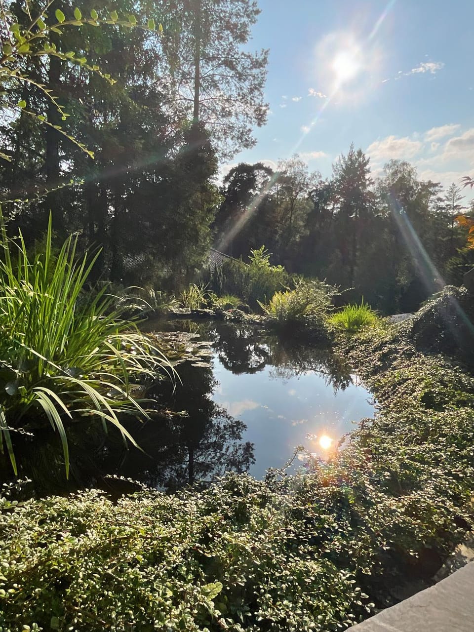 Natural landscape, Garden, Garden, Garden view, Lake view
