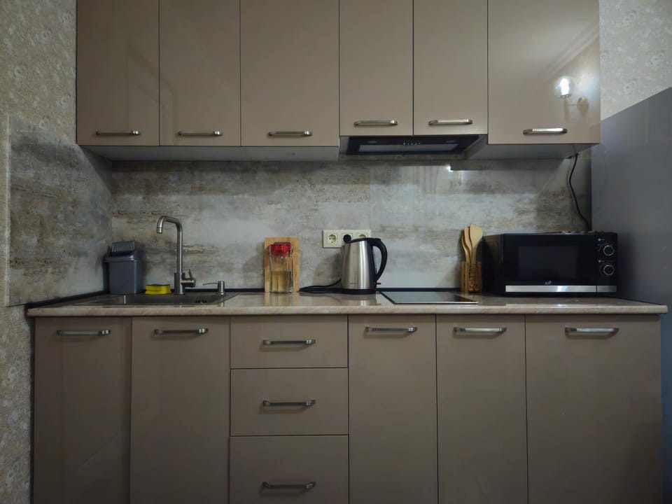 Coffee/tea facilities, Kitchen or kitchenette, minibar, stove, toaster