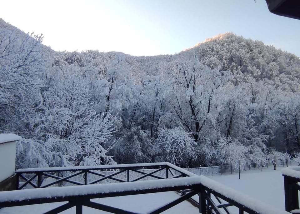 Winter, Mountain view, Inner courtyard view