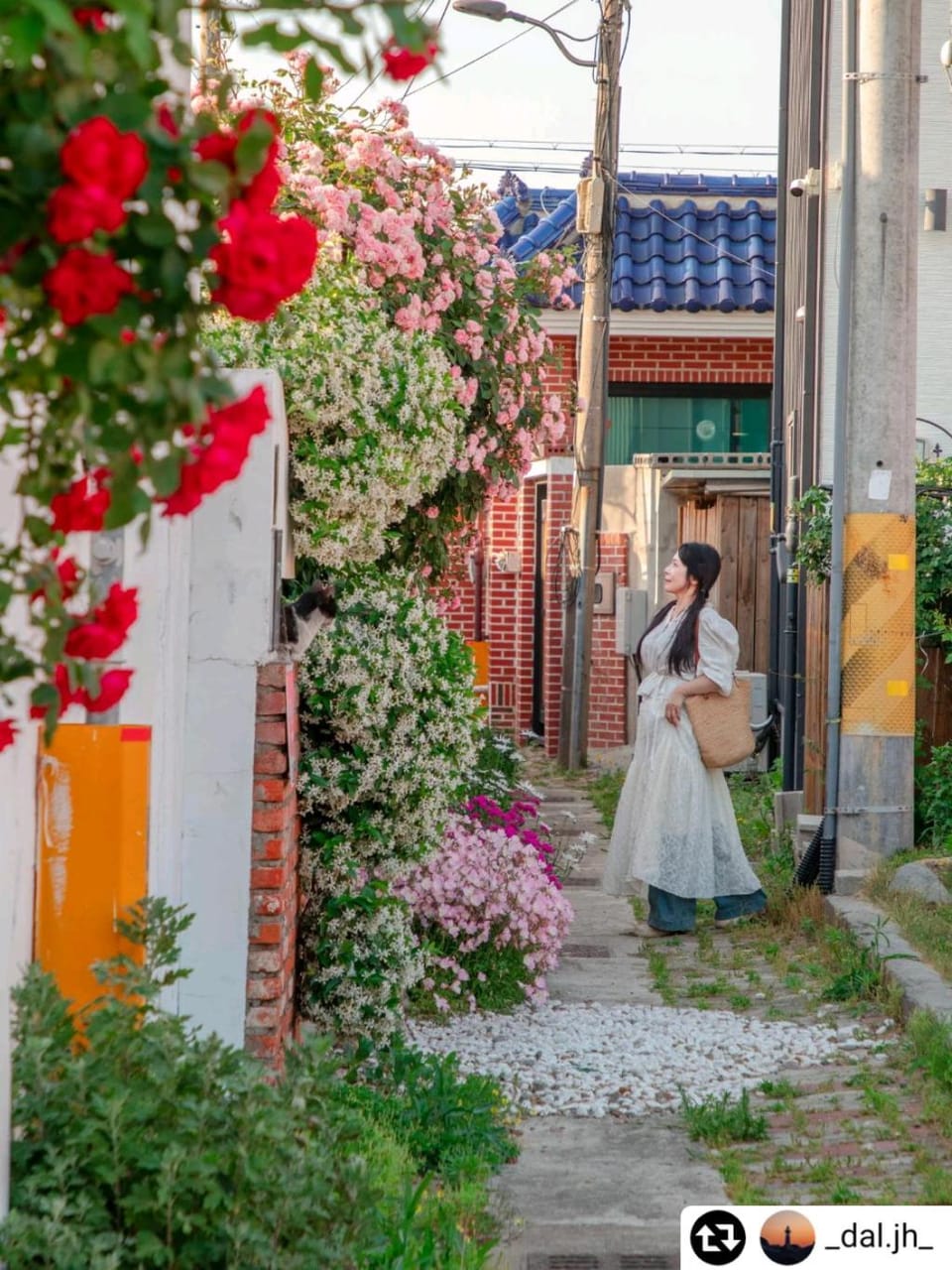 Dongparang hanok stay Bed and Breakfast in South Korea