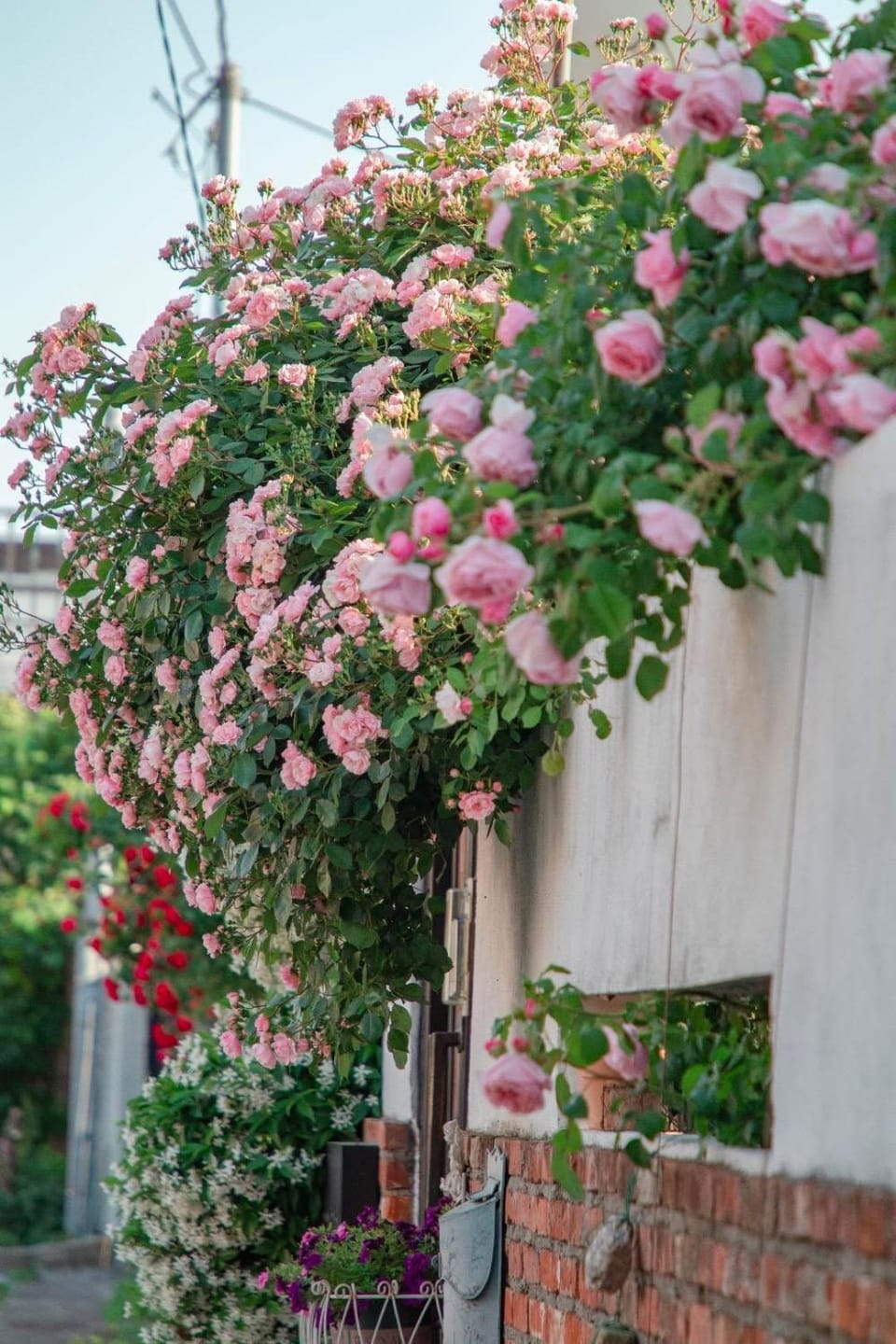 Dongparang hanok stay Bed and Breakfast in South Korea