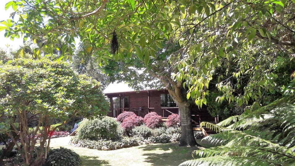 Summer, Garden view
