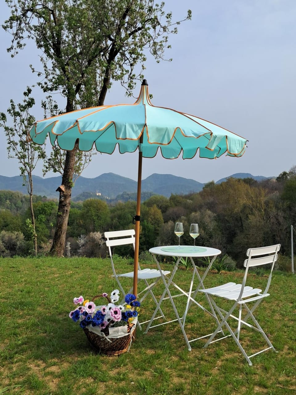 Natural landscape, Garden