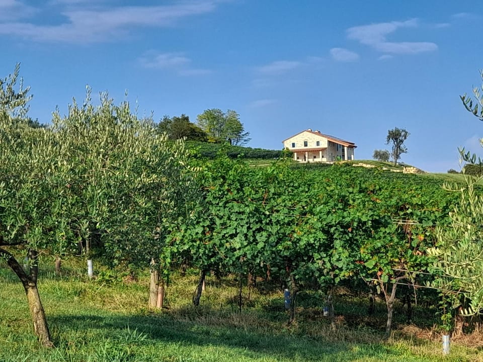 Natural landscape, Garden view