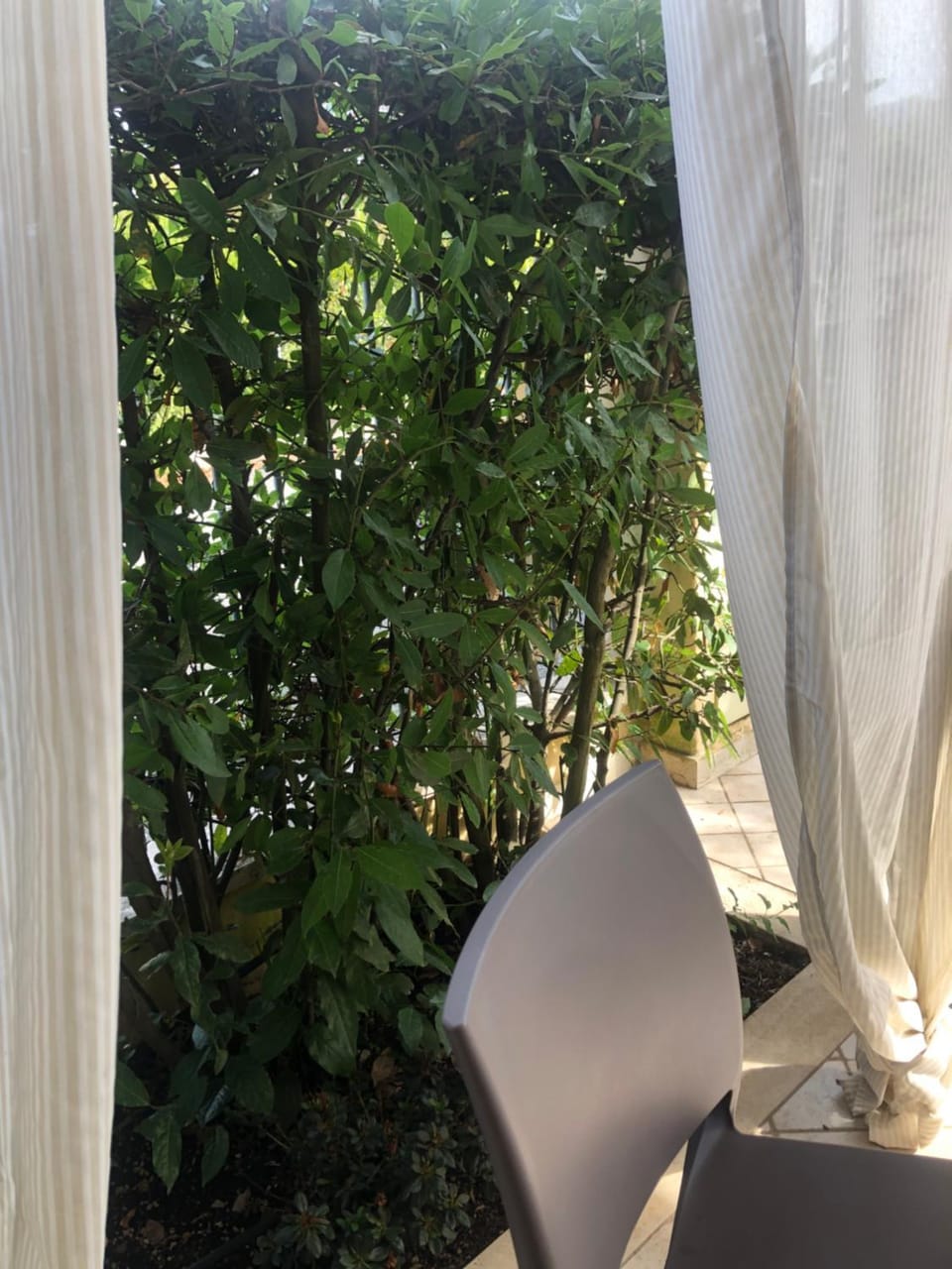 Versilia Villina Lola Apartment in Emilia-Romagna