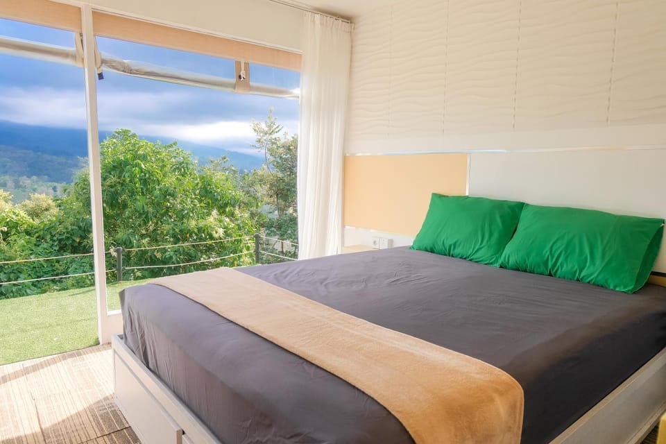 Bed, Natural landscape, View (from property/room), Bedroom, Mountain view