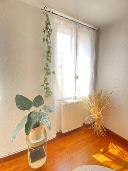 Maison charmante centre Montauban Apartment in Occitanie