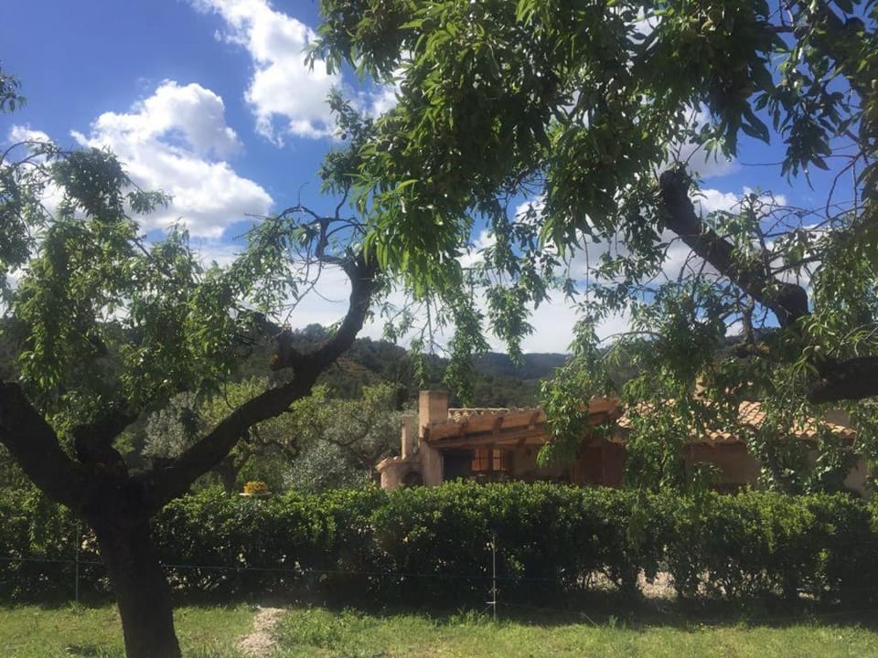 Mas de Les Olles Apartment in Catalonia