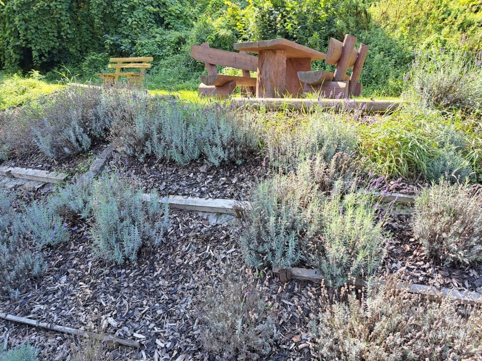 Ferienweingut St. Martin Bed and Breakfast in Trier-Saarburg