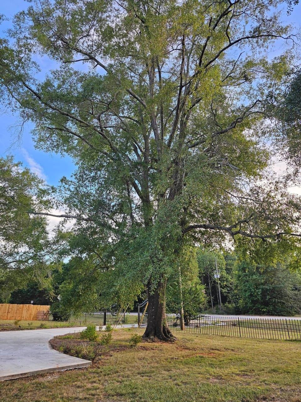 Serene Conyers Escape - Gateway to Atlanta House in Georgia