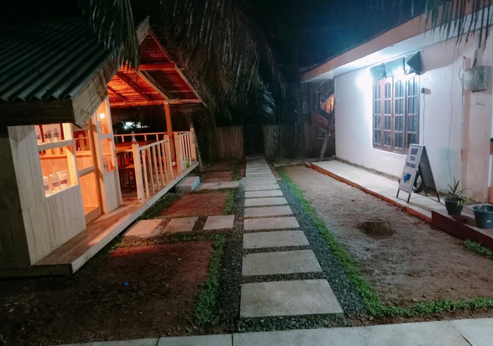Night, Garden, Garden view