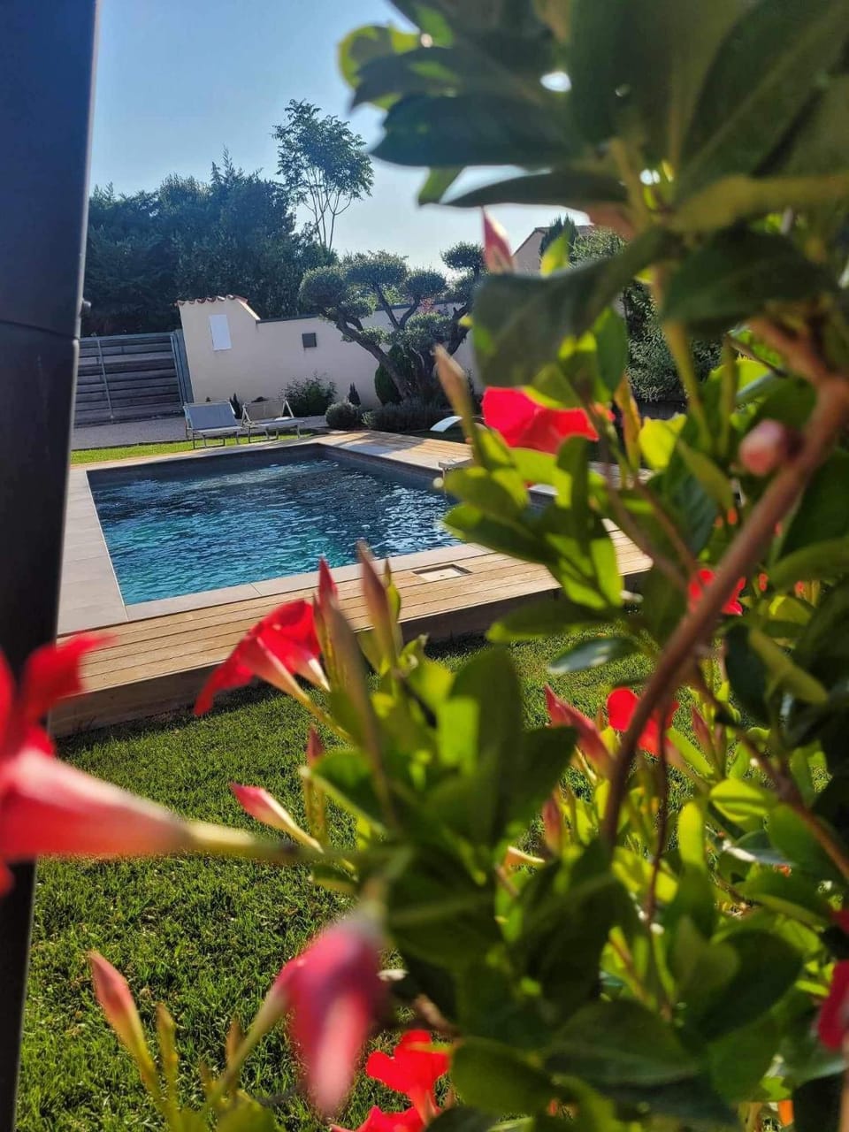 Pool view
