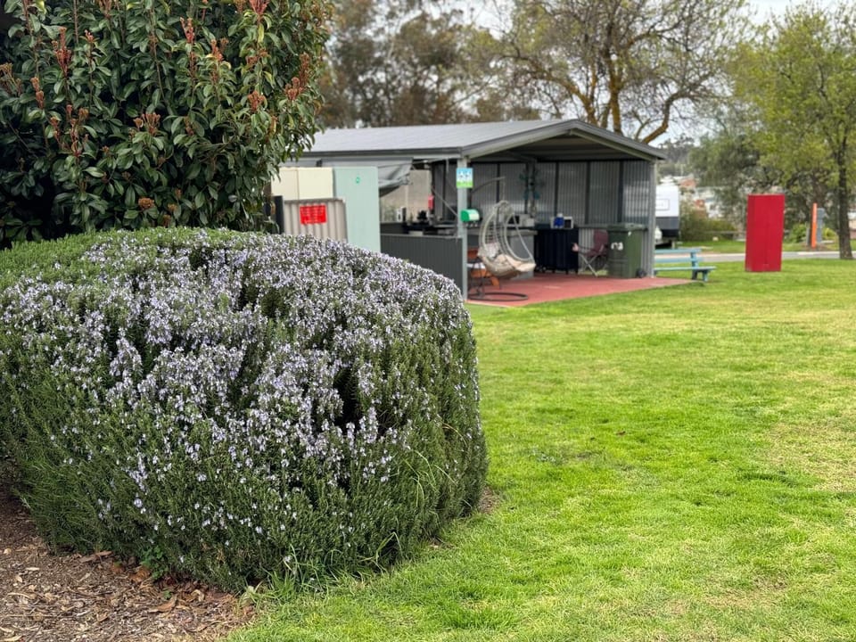 Natural landscape, Garden, Garden view