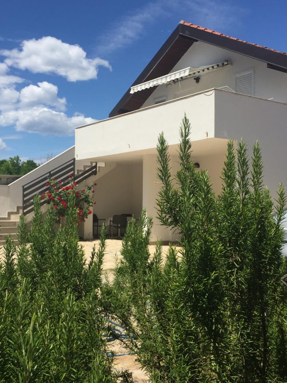 Property building, Facade/entrance, Day, Garden, Garden view