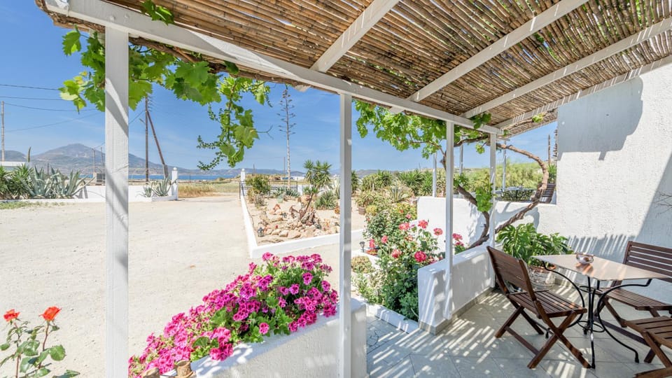 Patio, Spring, Garden, Balcony/Terrace, Garden view