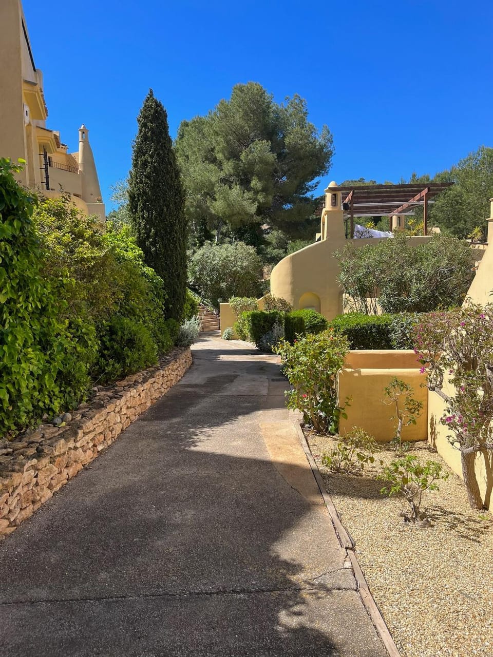 Garden view