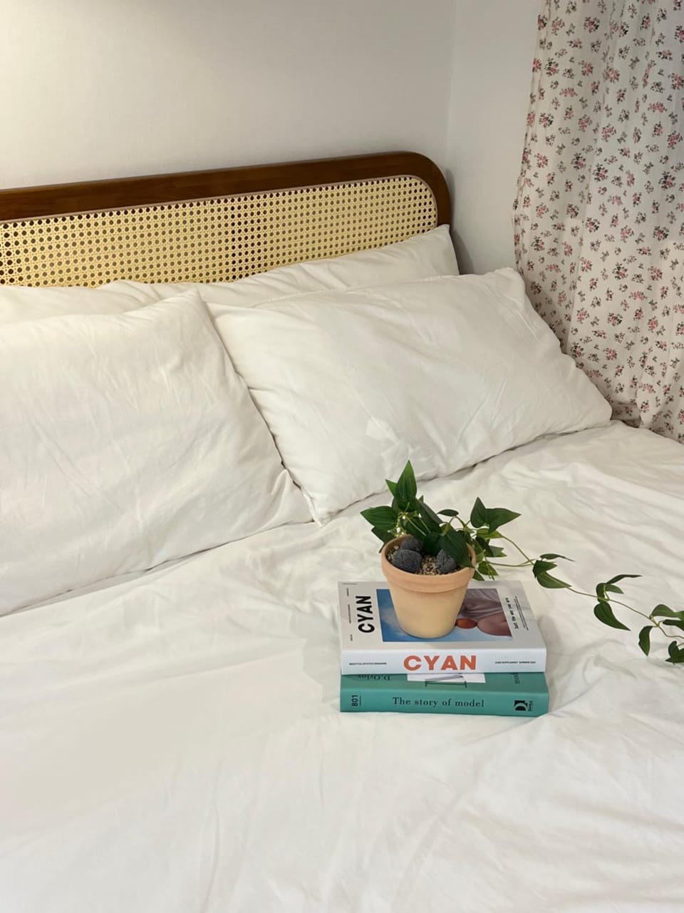 Cream HOUSE Apartment in Busan