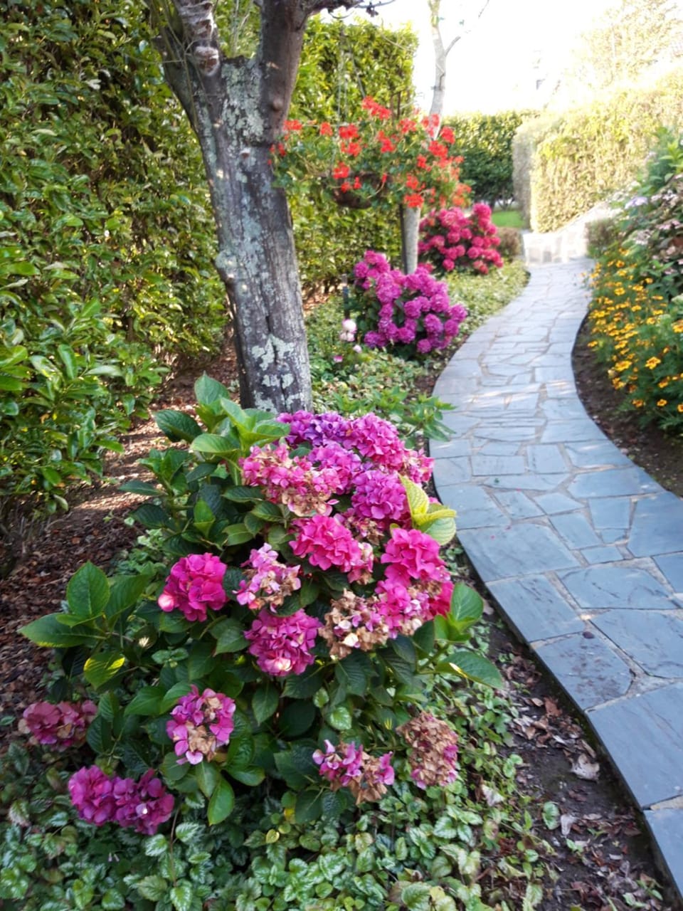 Garden, Garden, Garden view