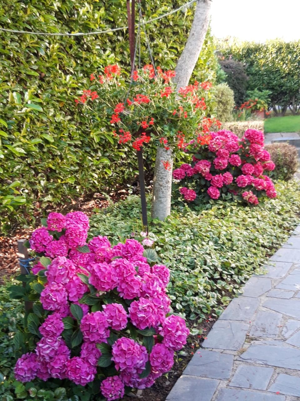 Garden view