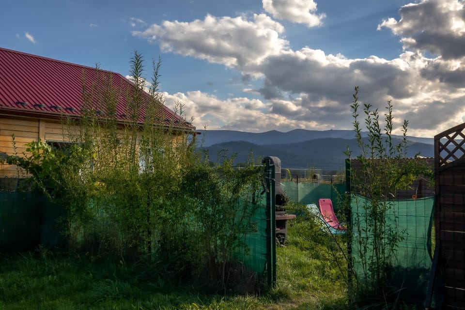 Garden, Garden view, Mountain view
