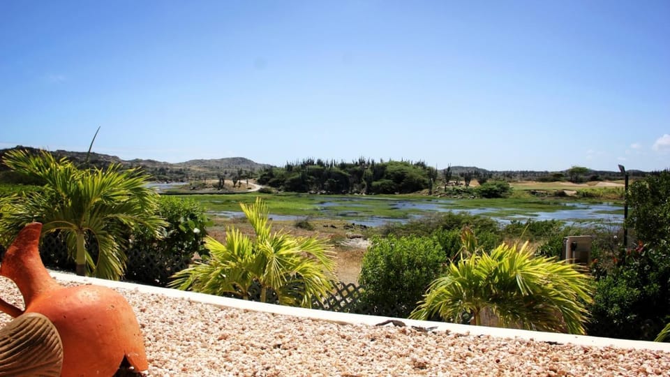 Luxurious Ocean View Villa Villa in Noord