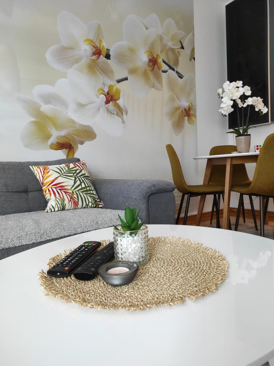 Orchis Apartment in Serbia