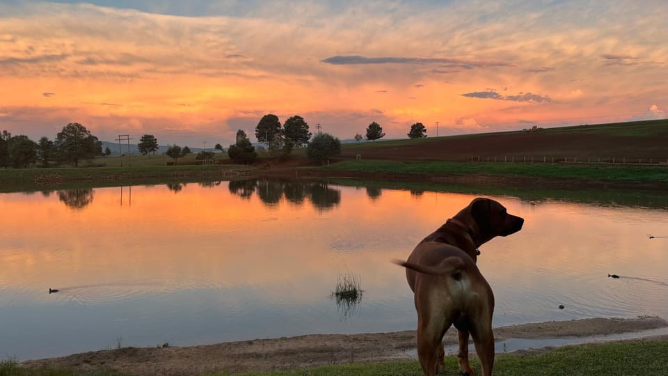 Lake view