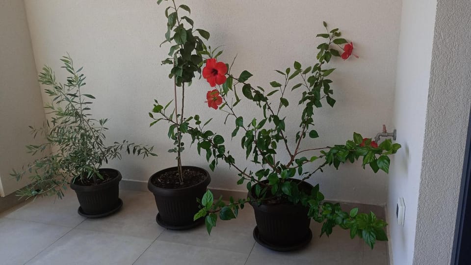 Nature Apartment Dubrovnik Apartment in Dubrovnik