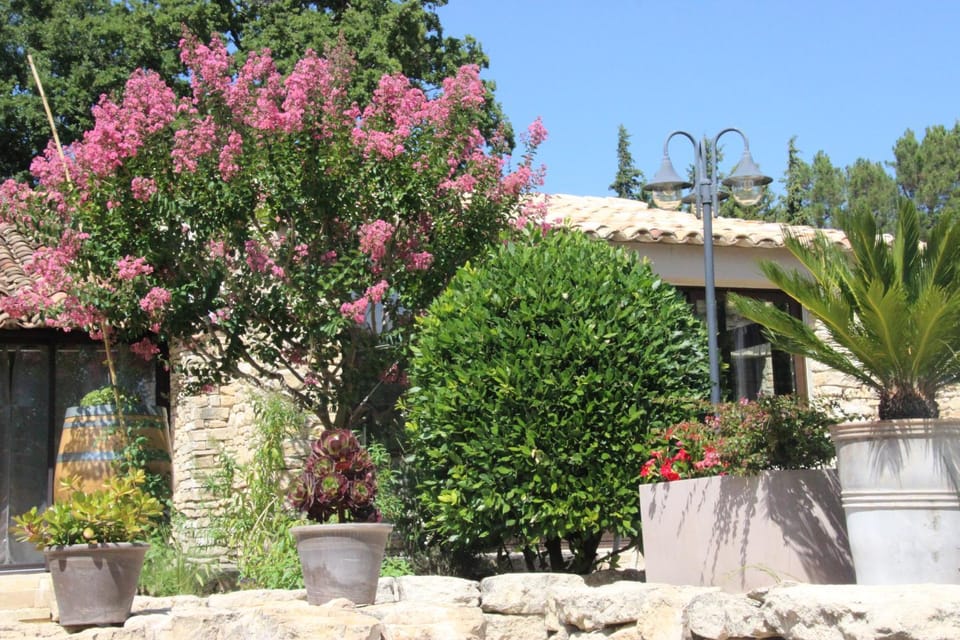 Garden, Garden view