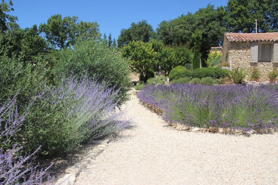 Garden, Garden view